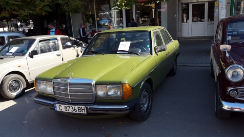 Mercedes-Benz W123 1981