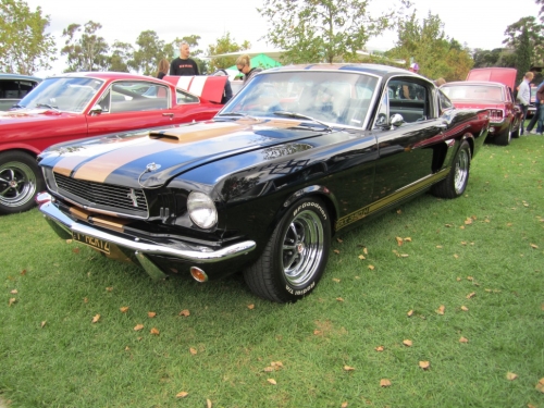 Ford Shelby I 1969