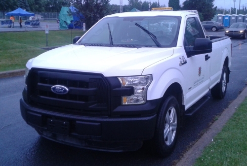 Ford F-Series F-150 XIII Regular Cab 2015
