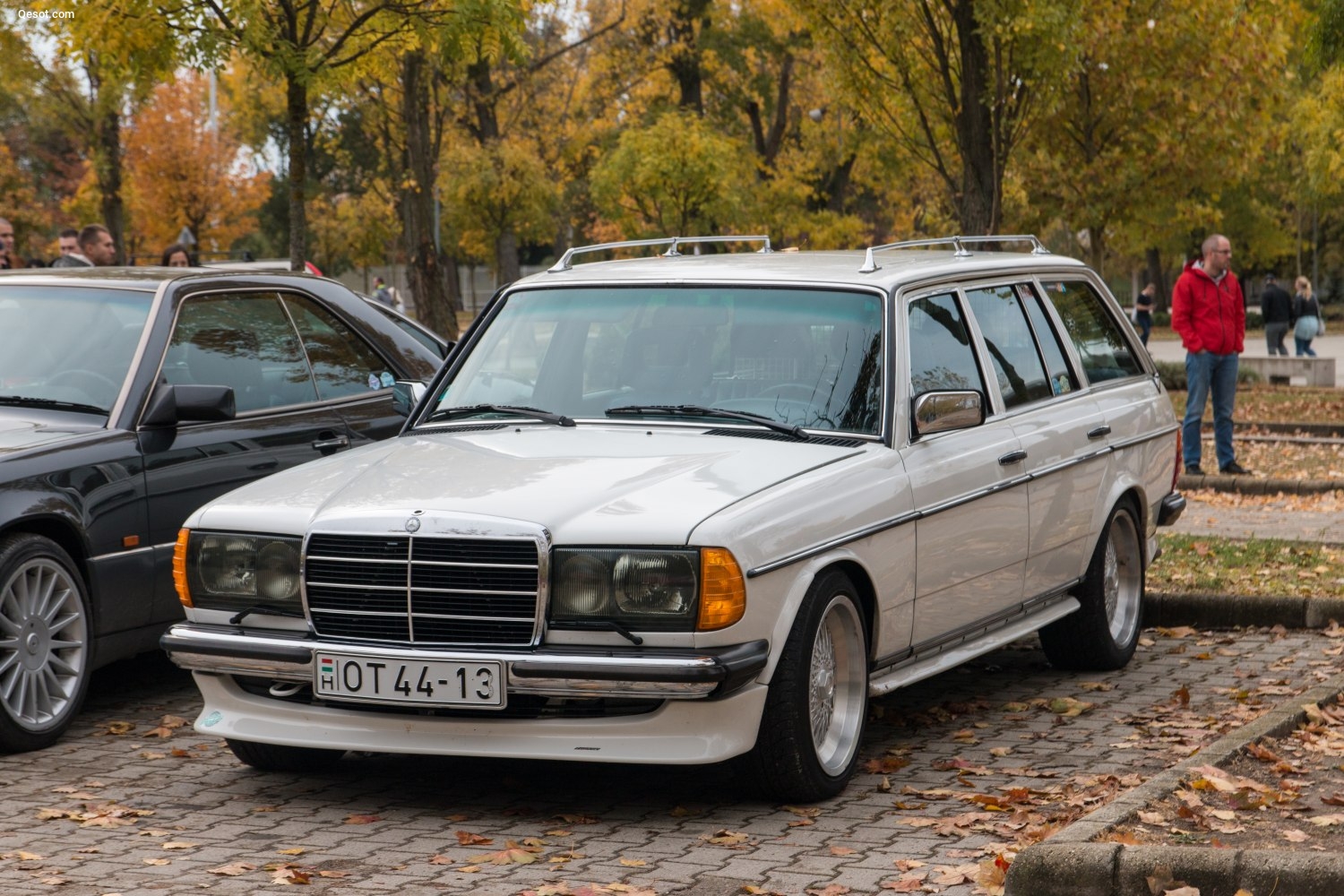 Mercedes-Benz S123 1977 240 TD (65 Hp) Mercedes-Benz S123 1977 240 TD (65 Hp)