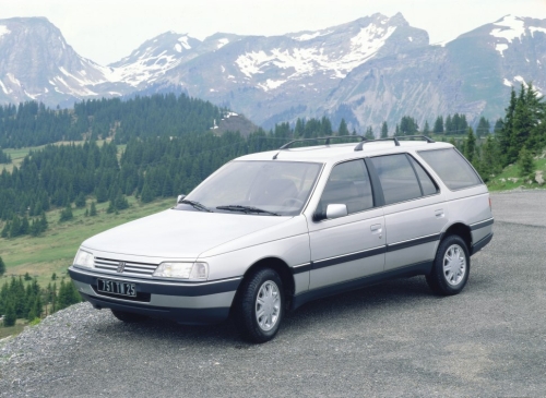 Peugeot 405 I Break 15E 1988