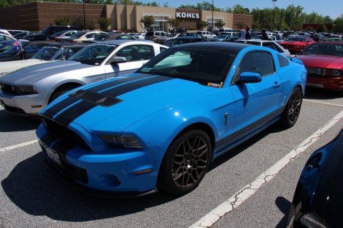 Ford Shelby II 2010
