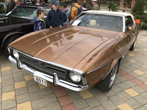 Ford Mustang Convertible I 1971
